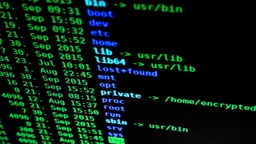 Password bypass